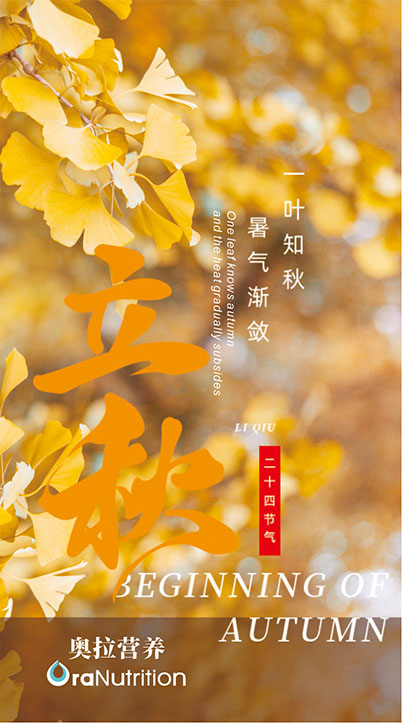 立秋--24节气