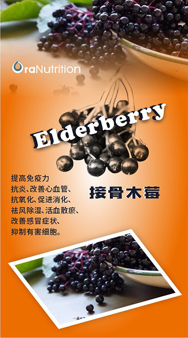 新西兰OEM工厂接骨木莓配方定制保健品