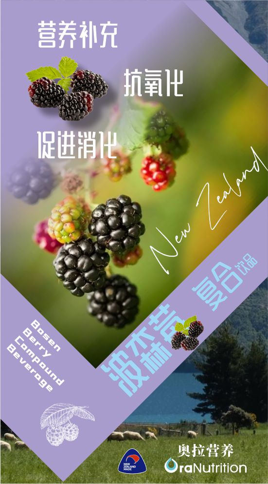 波森莓复合饮品——紫色的健康魔法(新西兰OEM工厂代工）