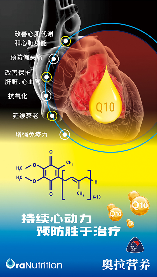 持续心动力，预防胜于治疗——辅酶Q10（新西兰OEM）