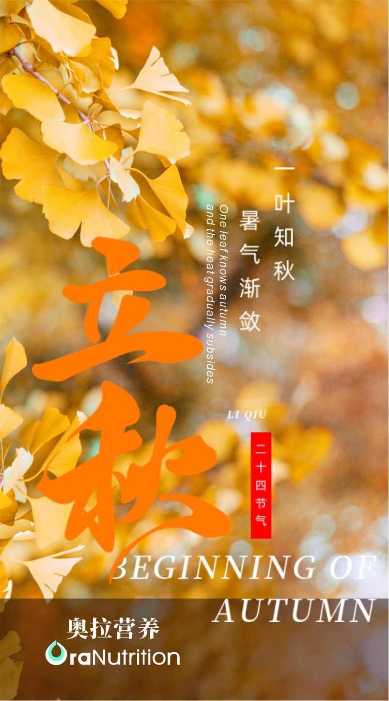 立秋.jpg