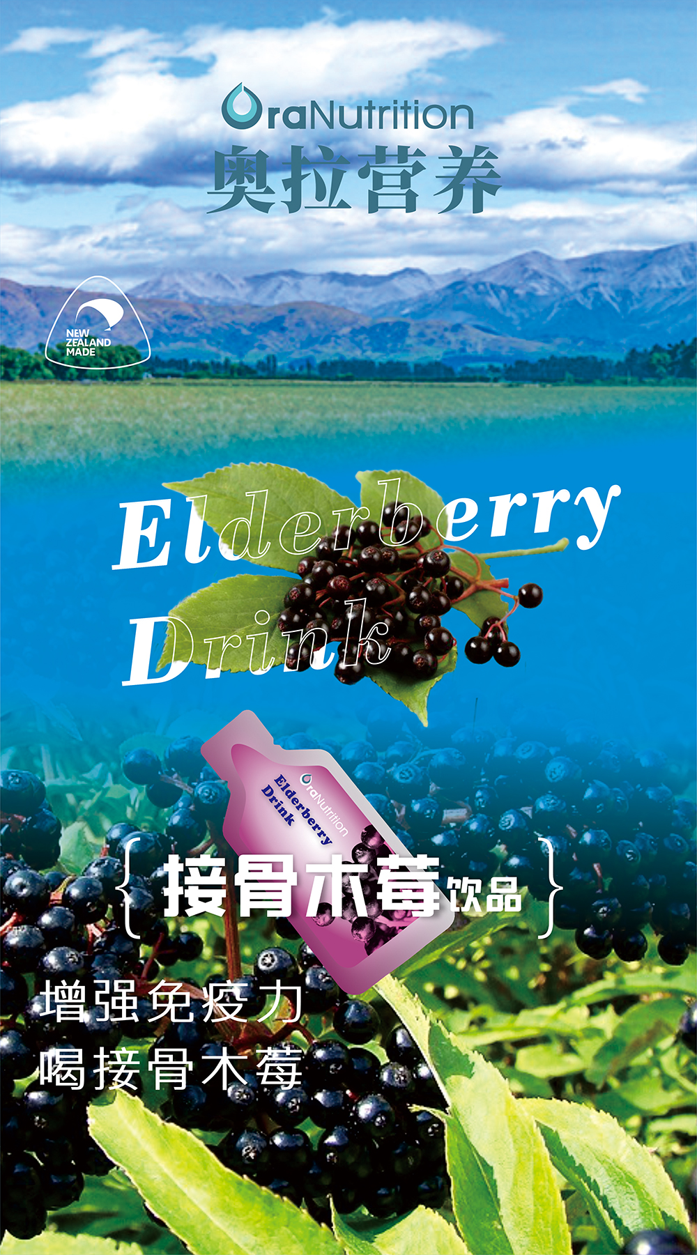 接骨木莓1 拷贝.jpg